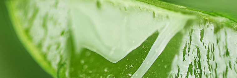 Flexible Körperpflege für trockene Haut – einzeln oder kombiniert.