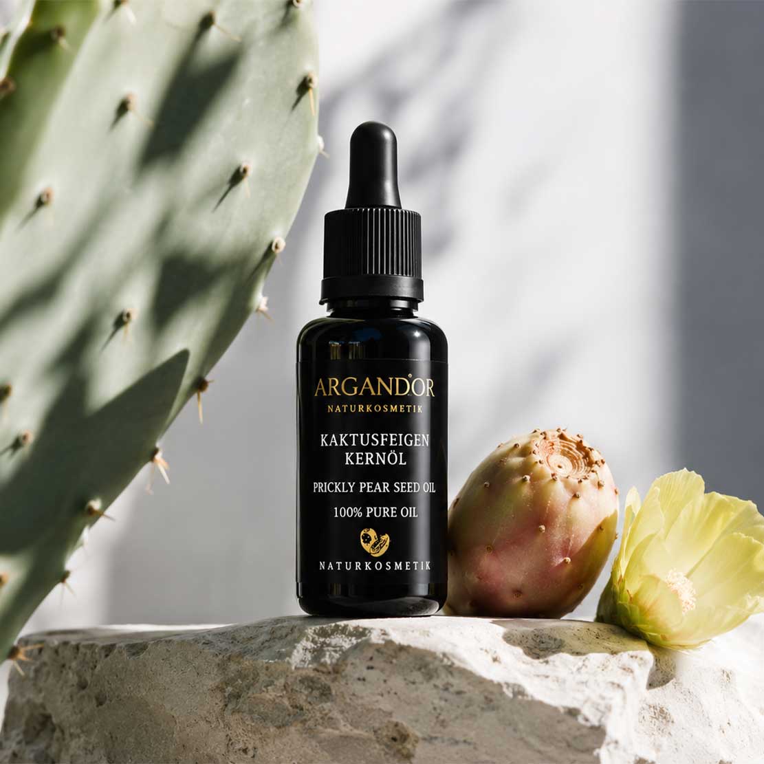 Argandor Kaktusfeigenkernöl 20 ml mit Kaktusfeige und Blüte auf hellem Naturstein
