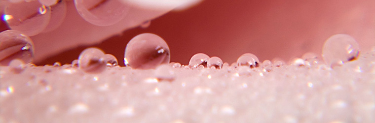 Reinigungsbalsam und Gesichtstonic Aloe Vera + Rose im Set – für porentief reine und gepflegte Haut.