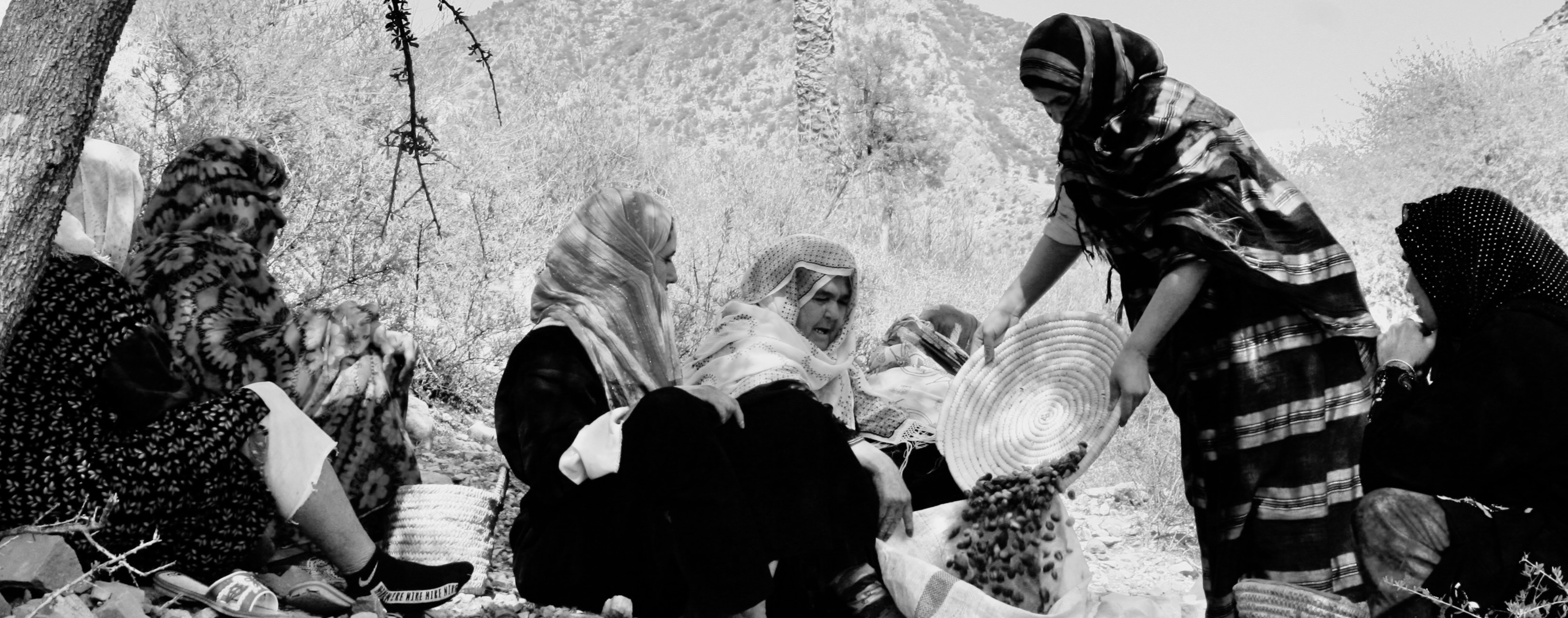 Magazin-Einblick - Bericht über Argandor und das Gold der Berberfrauen