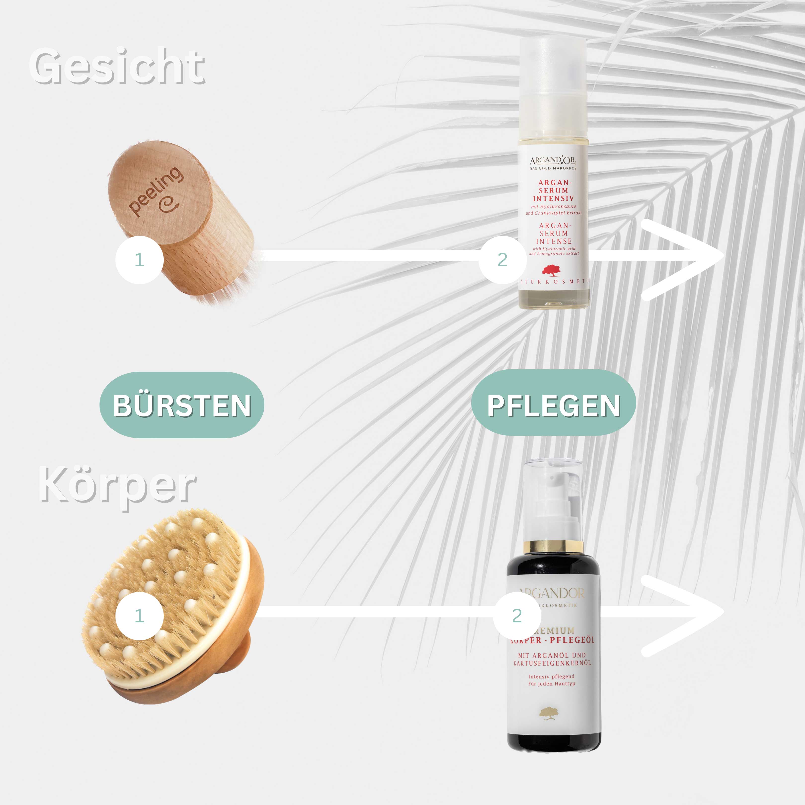 argandor-cosmetic-koerperpflege-koerperbuerste-3902-4 argandor-cosmetic-koerperpflege-koerperbuerste-3902-4